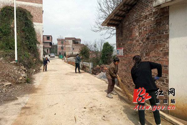 新田互聯(lián)網(wǎng)新聞(新田互聯(lián)網(wǎng)新聞電話)