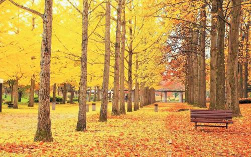 互聯(lián)網(wǎng)新聞研究中心崔俊飛(互聯(lián)網(wǎng)新聞研究中心崔俊飛主任)