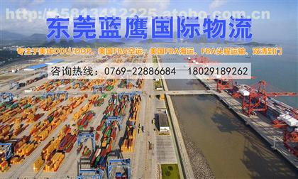 貨運代理東莞網站建設(貨運代理東莞網站建設項目)