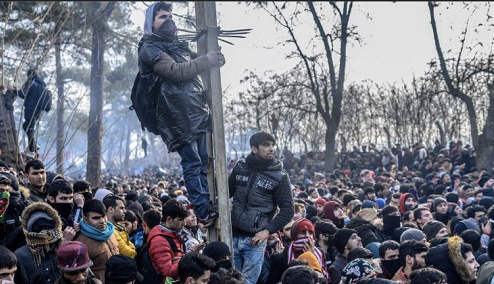 互聯網難民最新消息(中國互聯網難民的春天來了)