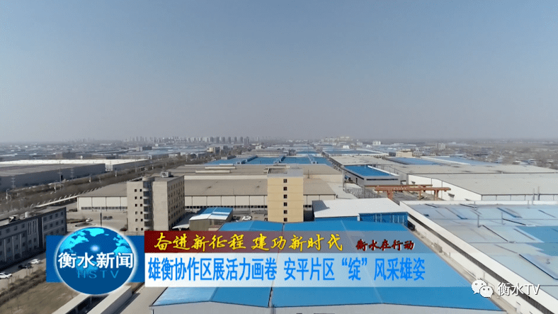 安平網站建設(平涼網站建設公司)