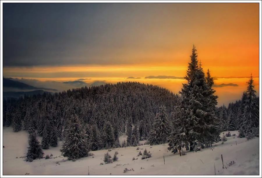 大自然互聯(lián)網(wǎng)新聞(大自然科技有限公司事件)