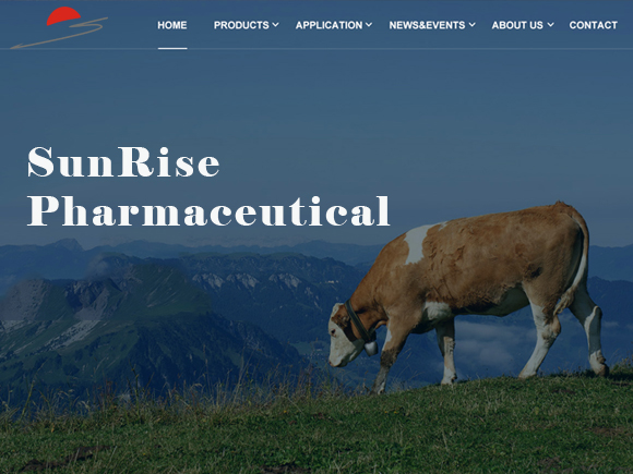 新疆商務網站建設(新疆政務服務網商標注冊)