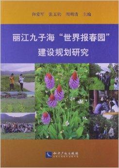 麗江網(wǎng)站建設(shè)的簡(jiǎn)單介紹