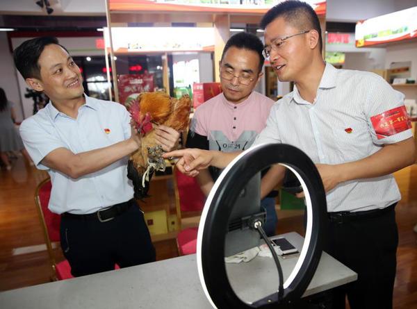 互聯網助農新聞(互聯網助農項目簡介)