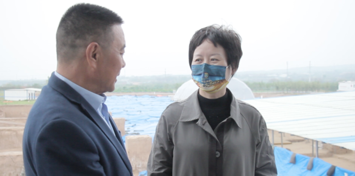 鞏義新聞互聯網(鞏義新聞在線手機臺)