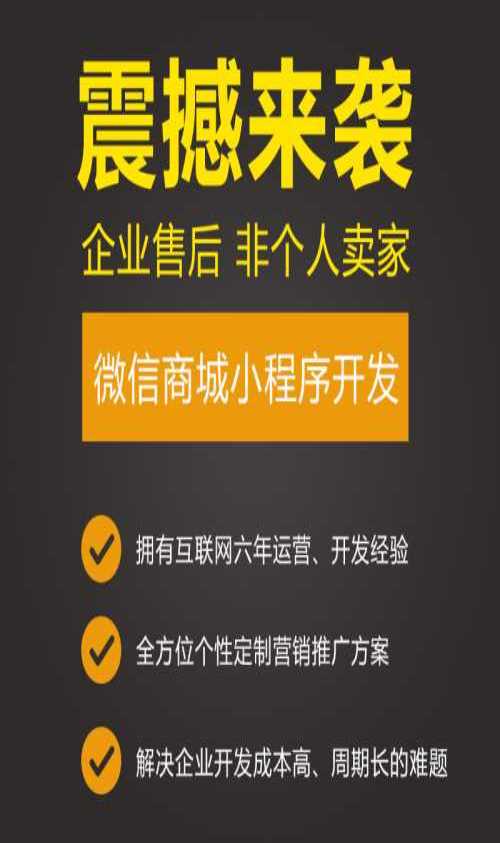 微信電商小程序開發公司(微信電商小程序開發公司是哪家)