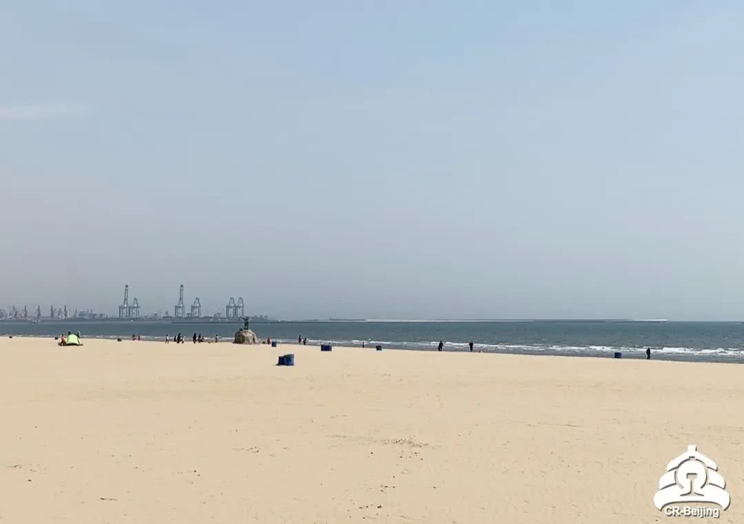 鹽城海灘建設新聞網站(鹽城海灘建設新聞網站最新消息)