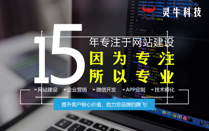 專業手機網站建設企業的簡單介紹