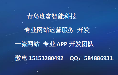 青島網(wǎng)站建設(shè)營銷(青島網(wǎng)站建設(shè)營銷公司)