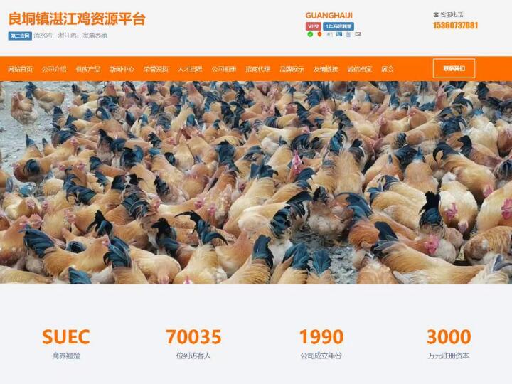 肇慶的網(wǎng)站建設(shè)(肇慶網(wǎng)站建設(shè)維護(hù))