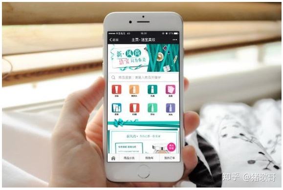雁塔區(qū)專業(yè)的小程序開發(fā)(西安做小程序的公司有哪些)