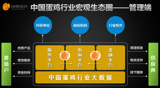 互聯網養雞新聞(網絡養雞投資是騙局嗎)
