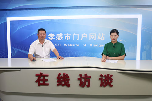 孝感網站建設大全(孝感網站建設公司)