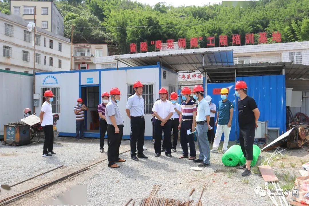 信宜網站建設(信宜政府招標網)