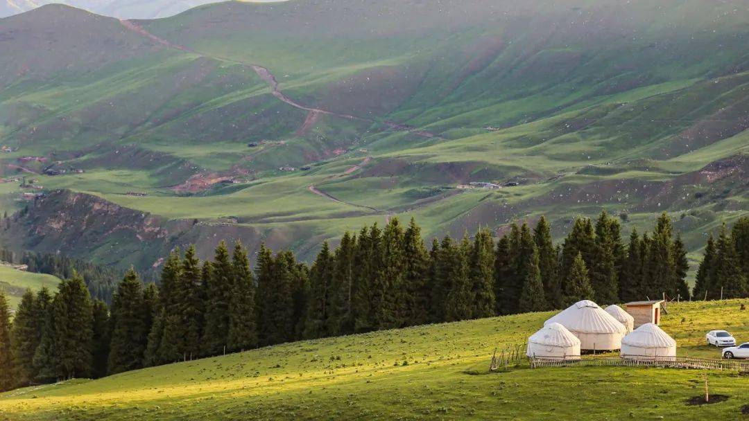 活力伊犁小程序開發(fā)(伊利yplus活力俱樂部)