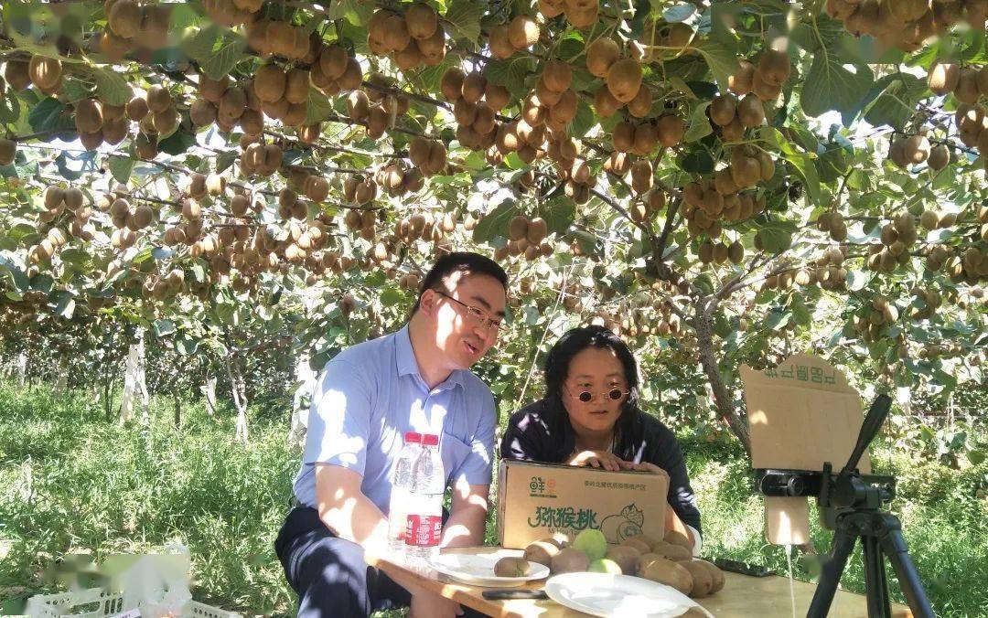 眉縣互聯(lián)網(wǎng)新聞網(wǎng)站首頁(yè)(眉縣互聯(lián)網(wǎng)新聞網(wǎng)站首頁(yè)查詢)