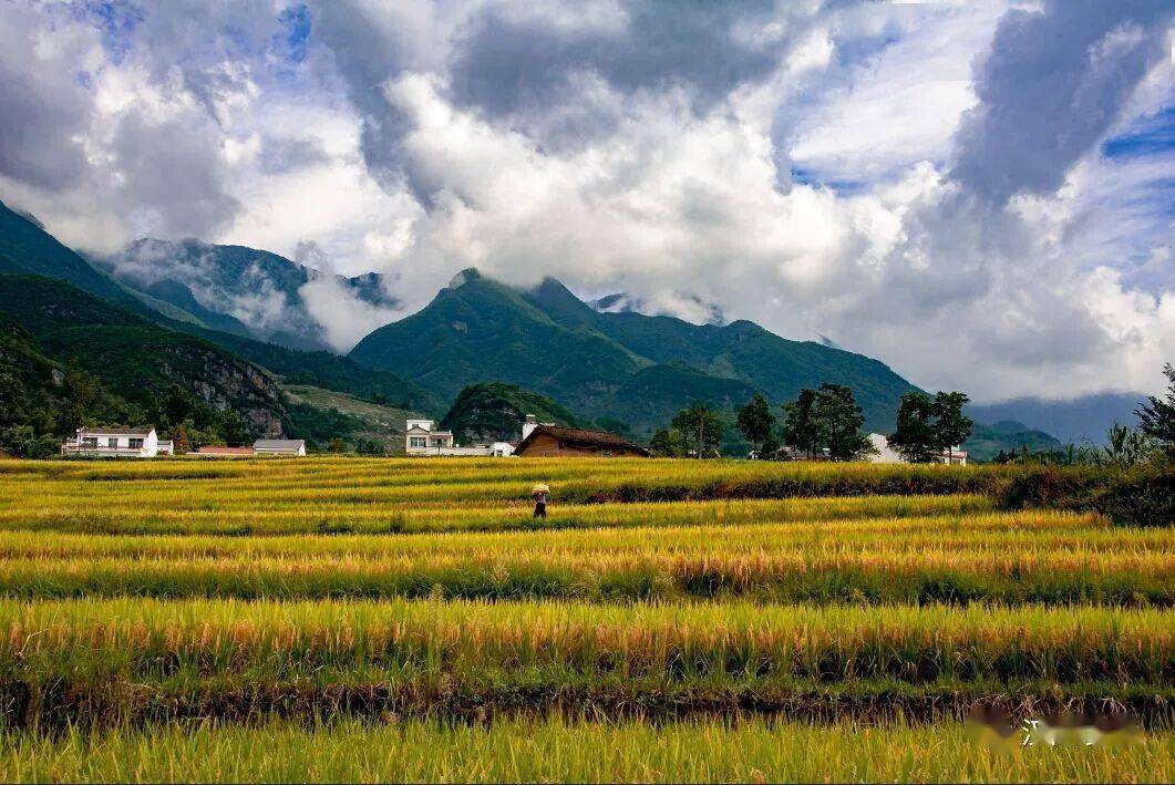 漢陰互聯(lián)網(wǎng)新聞(漢陰2020最近新聞)