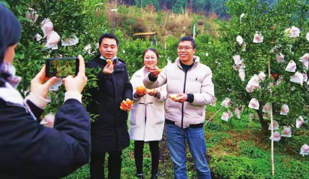 有關(guān)南充農(nóng)業(yè)互聯(lián)網(wǎng)的新聞(有關(guān)南充農(nóng)業(yè)互聯(lián)網(wǎng)的新聞?dòng)心男?