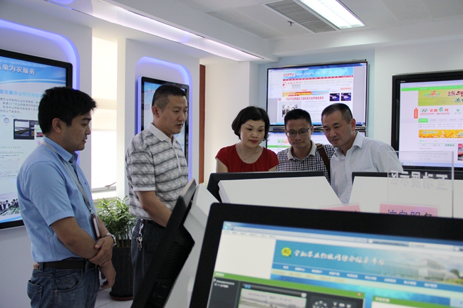 南陵微型網站建設(南陵微信平臺都有哪些)