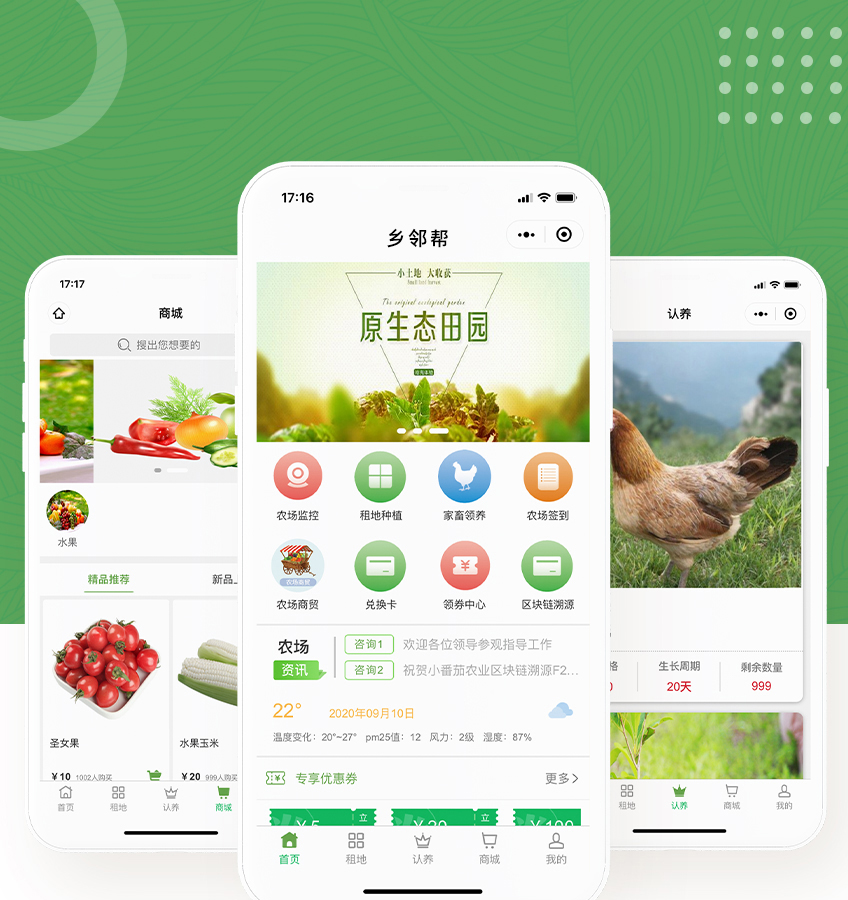 云植樹小程序開發(云植樹小程序開發方案)