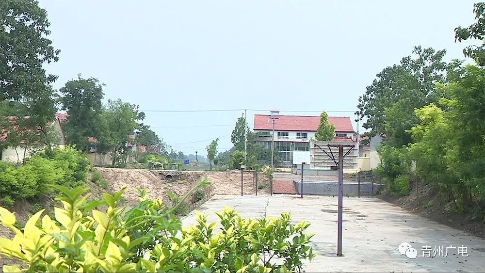 青州農(nóng)村建設(shè)新聞網(wǎng)站(青州農(nóng)村建設(shè)新聞網(wǎng)站首頁)