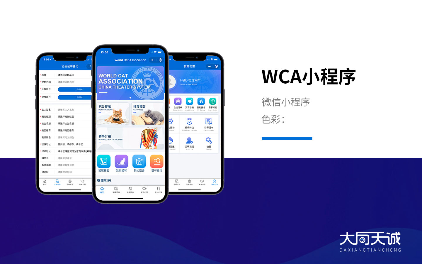 關于南沙小程序開發定制排名的信息