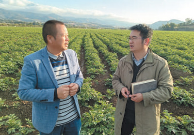 臨滄港網站建設(2020年臨滄項目開工計劃)