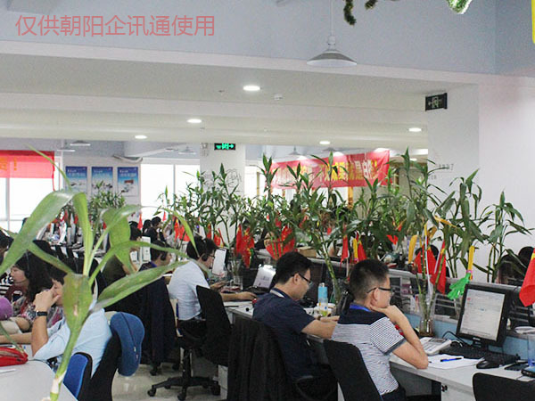 朝陽市網站建設(朝陽市網上辦事大廳)