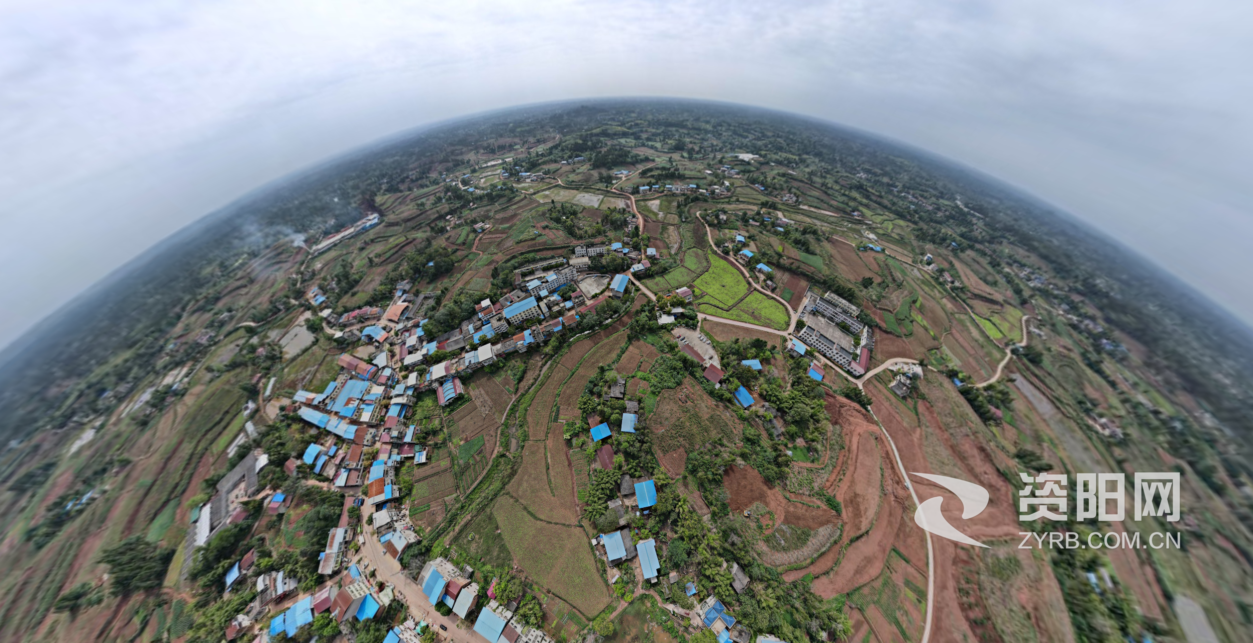 資陽自貢網站建設(資陽市網上辦事大廳)